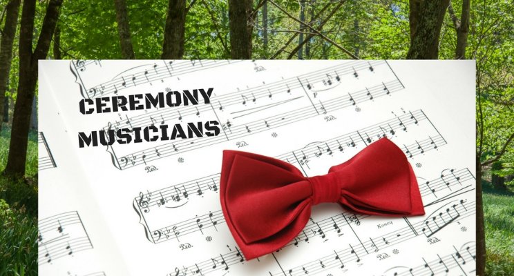 Ceremony and corporate Musicians - Brisbane